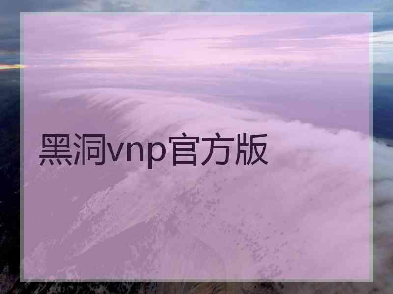 黑洞vnp官方版