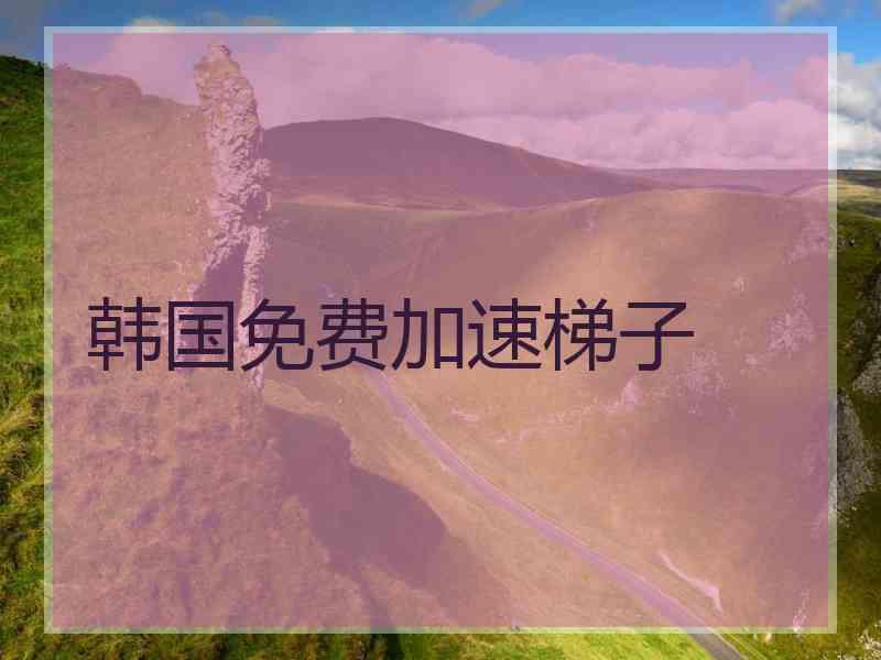 韩国免费加速梯子