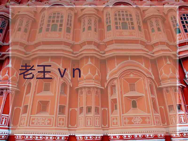 老王 v n