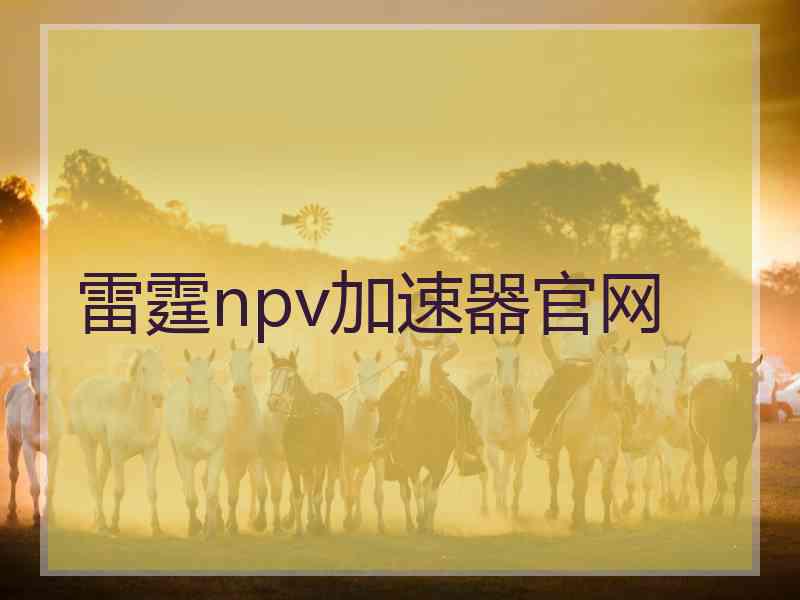 雷霆npv加速器官网
