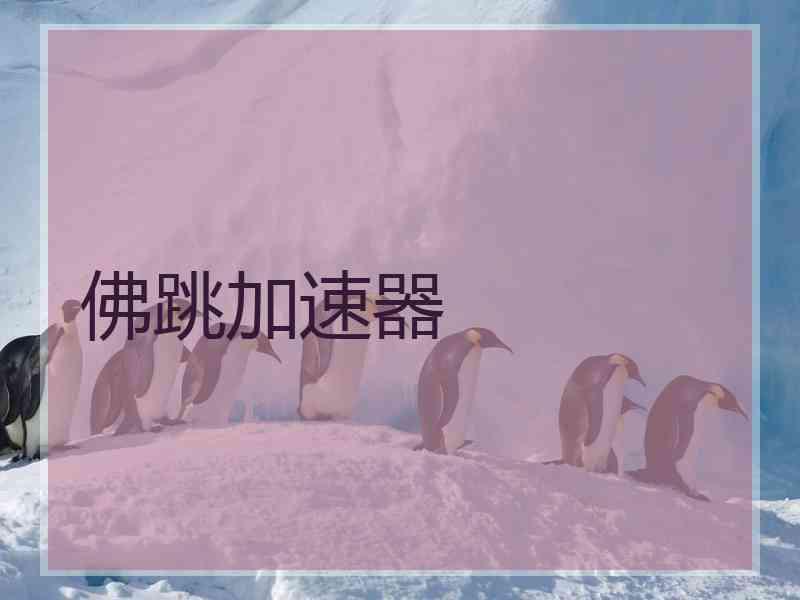 佛跳加速器