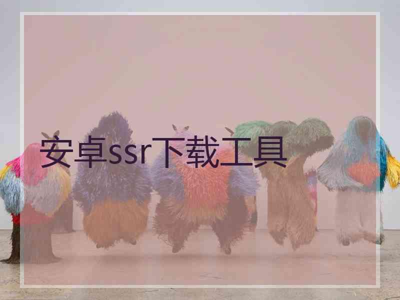 安卓ssr下载工具