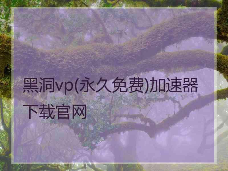 黑洞vp(永久免费)加速器下载官网