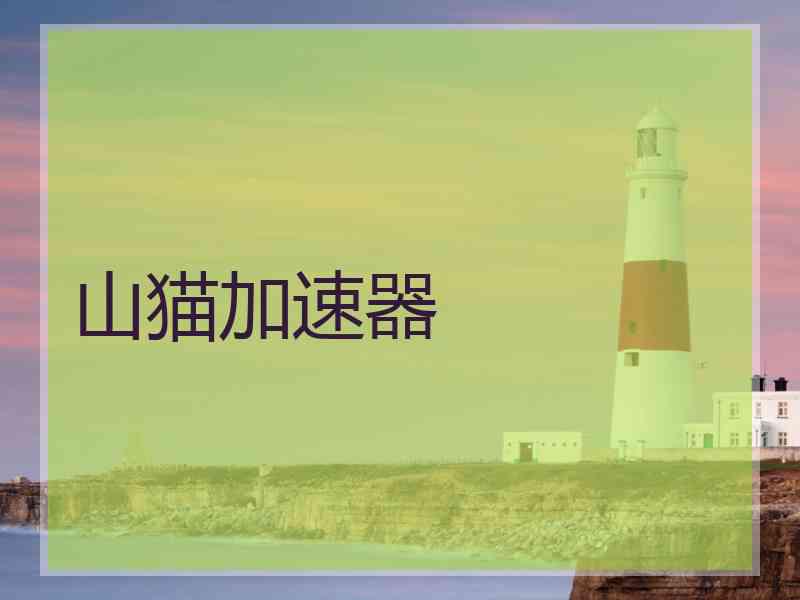 山猫加速器
