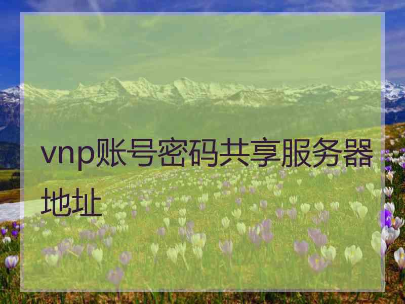 vnp账号密码共享服务器地址