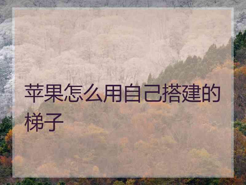 苹果怎么用自己搭建的梯子