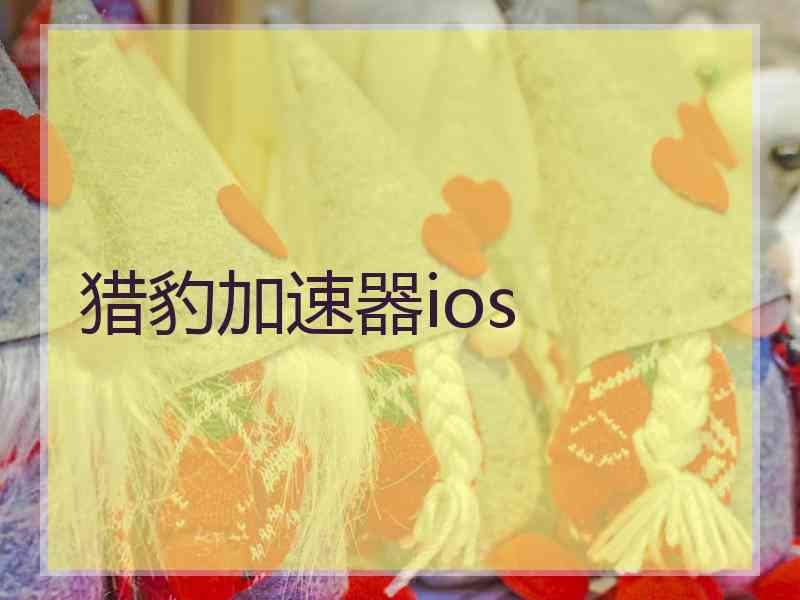 猎豹加速器ios