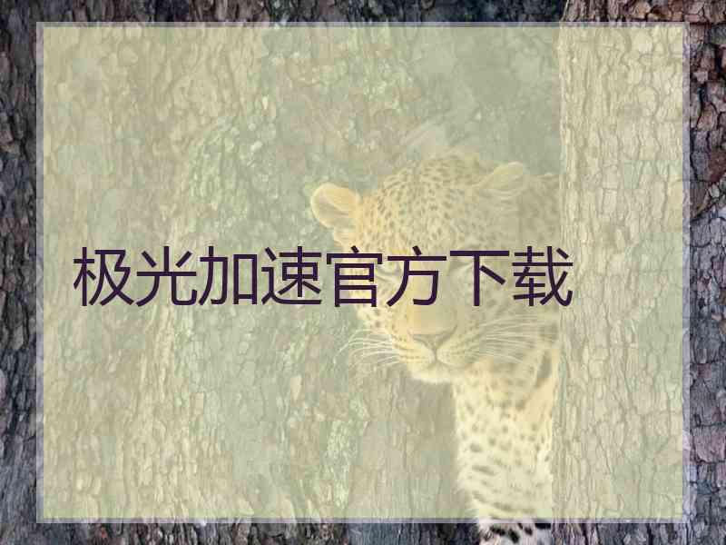 极光加速官方下载