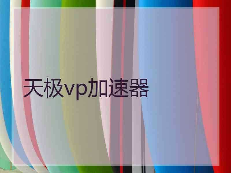 天极vp加速器