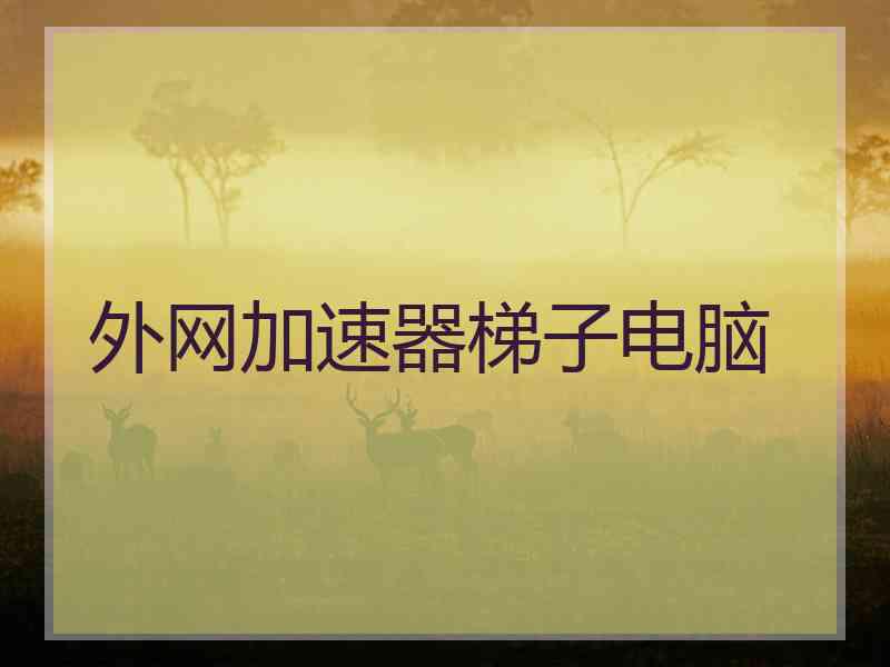 外网加速器梯子电脑