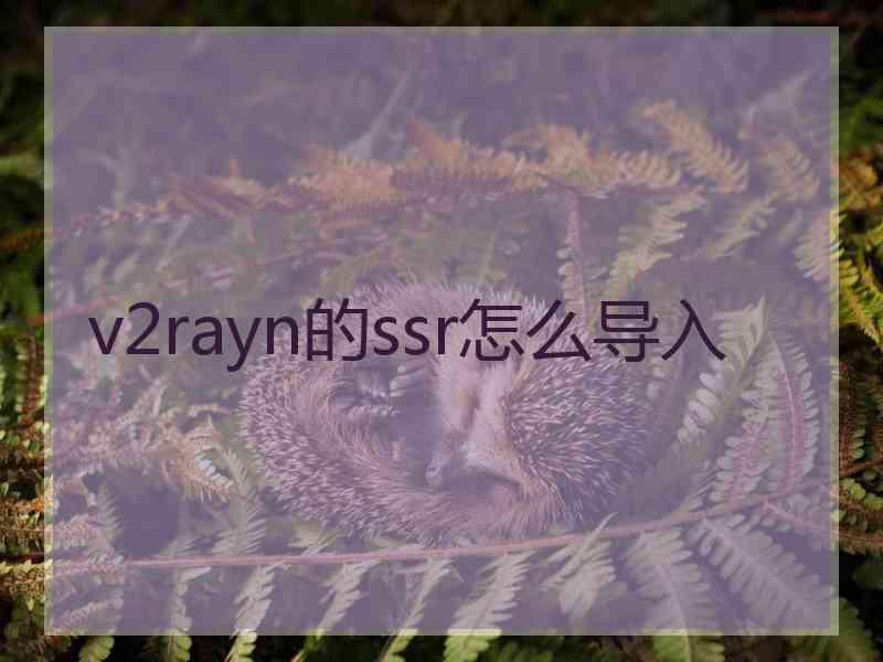 v2rayn的ssr怎么导入