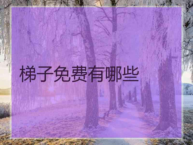 梯子免费有哪些