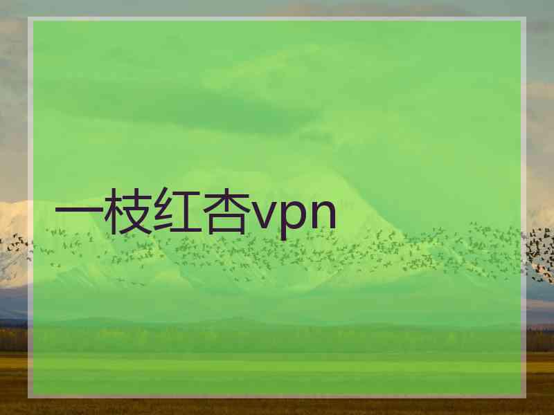 一枝红杏vpn
