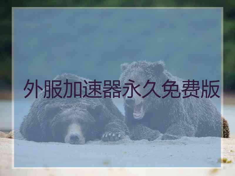 外服加速器永久免费版