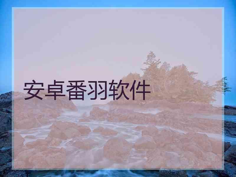 安卓番羽软件
