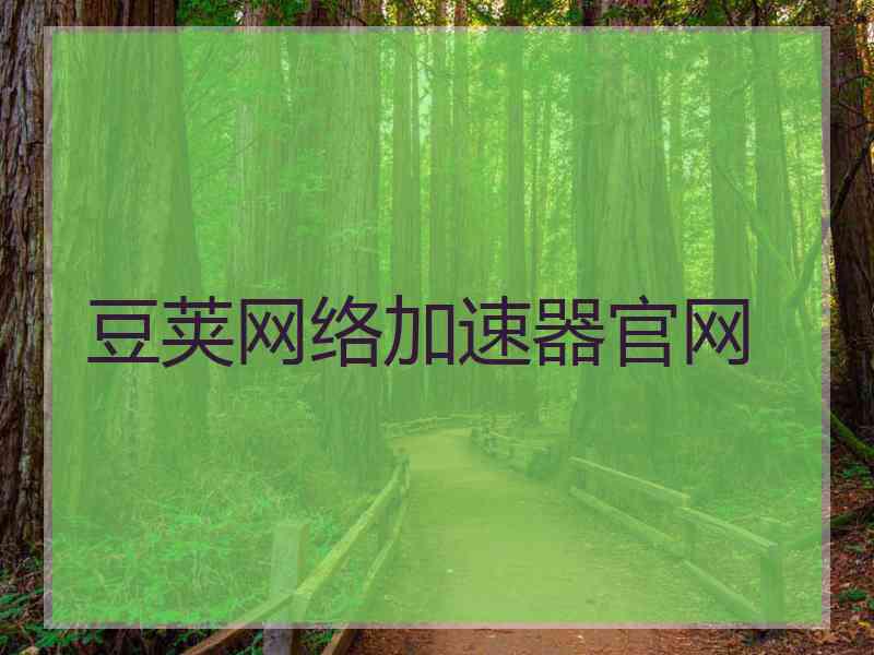 豆荚网络加速器官网