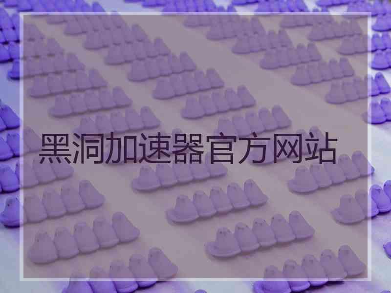 黑洞加速器官方网站