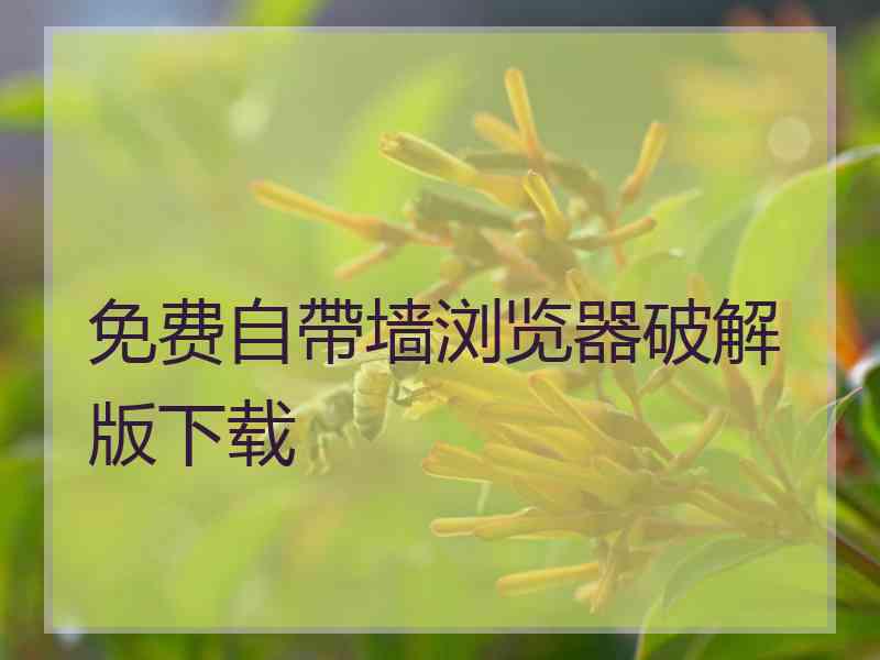 免费自帶墙浏览器破解版下载