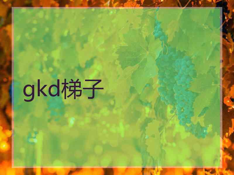 gkd梯子
