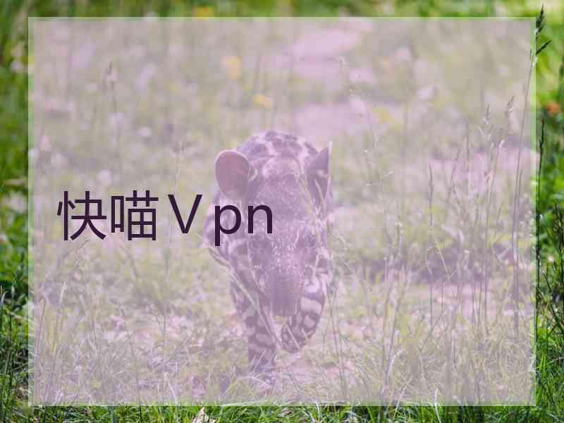快喵Ⅴpn